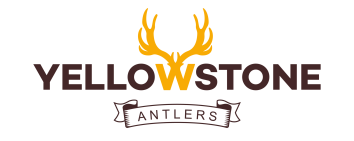Yellowstone Antlers